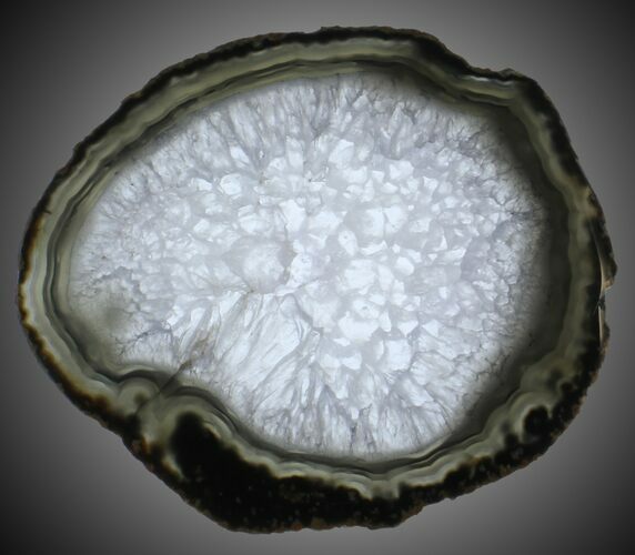 Polished Brazilian Agate Slice #31334